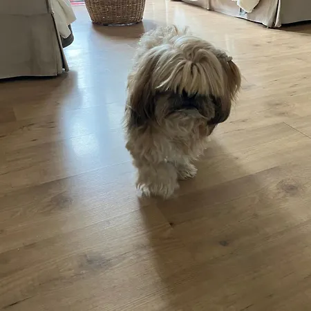 בית אירוח Toulousaine Arboree - Parking Public