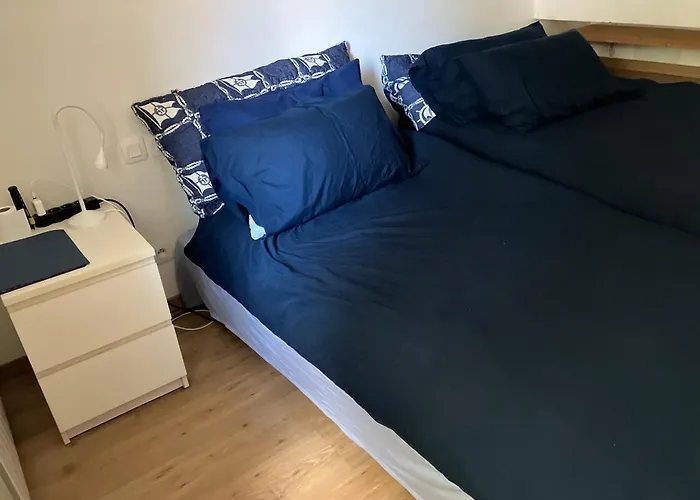 Toulousaine Arboree - Parking Public טולוז