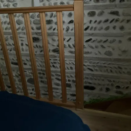 Toulousaine Arboree - Parking Public * Toulouse