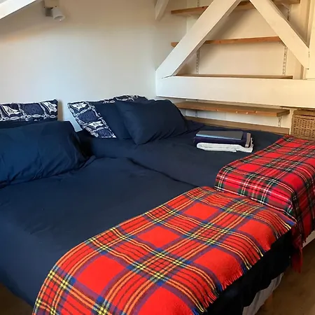 Homestay Toulousaine Arboree - Parking Public