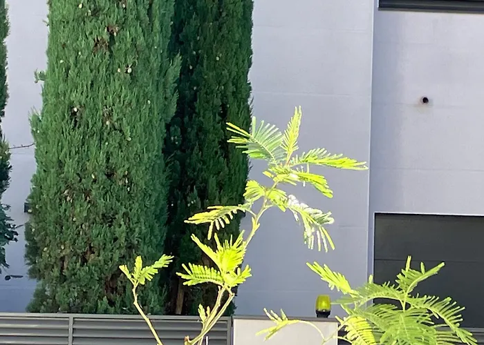 Toulousaine Arborée - Parking Public