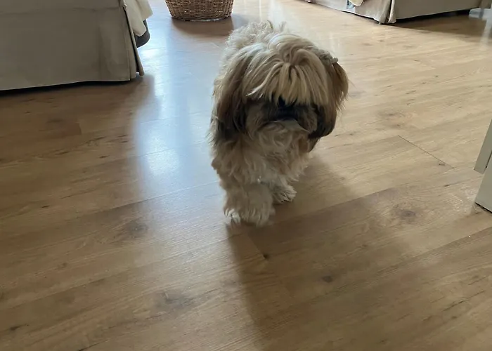 Δωμάτια σε οικογενειακή κατοικία Toulousaine Arboree - Parking Public