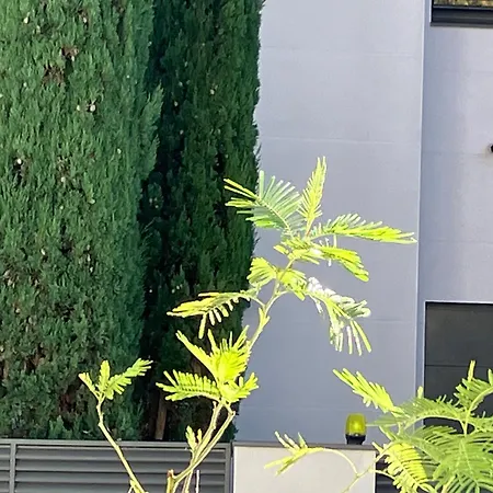 Toulousaine Arboree - Parking Public